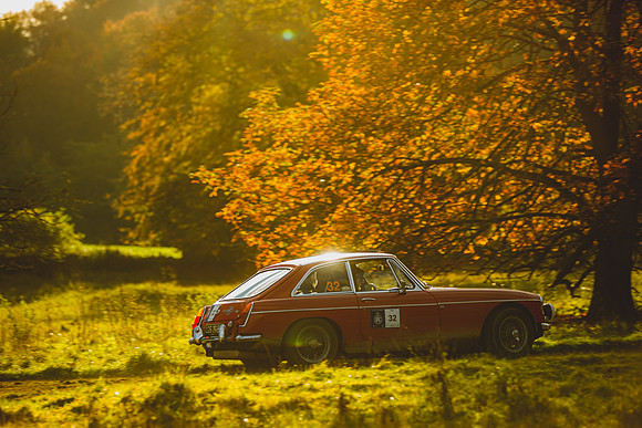 Rally of the Tests 2021