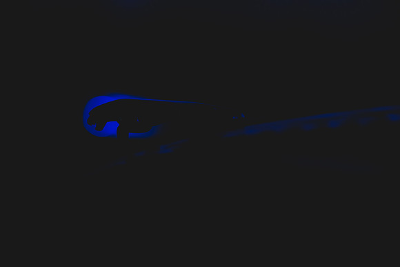 Rally of the Tests 2021