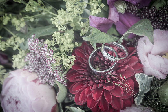 The Weddign Rings